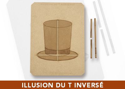 illusion du t inverse jeux EFCE bandeau