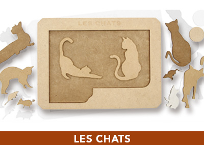 les chats jeux EFCE bandeau