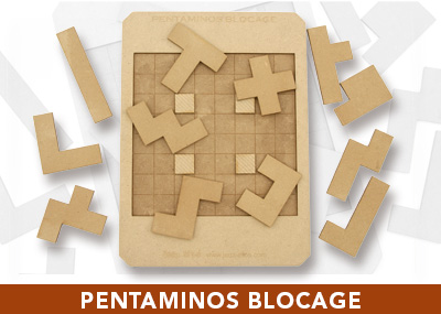 pentaminos blocage jeux EFCE bandeau