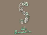 les-succulentesboutique-eymoutiers2021001