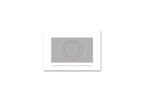 carte-postale_illusion-pinna-brelstaff