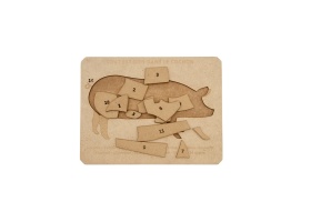 tout-est-bon-dans-le-cochon_jeux-efce_vue-generale-2000