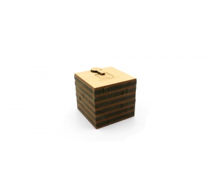 cube-1_jeux-efce_vue-generale-2000